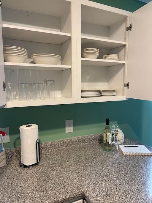 Adorable 3Br/2Ba W/ Garage 2Min Walk Ecu Health Villa Грийнвил Екстериор снимка